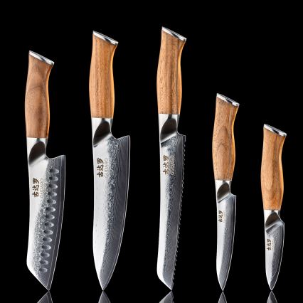 Gudaro - Set di 5 coltelli da cucina in damasco TAKUMI + supporto magnetico
