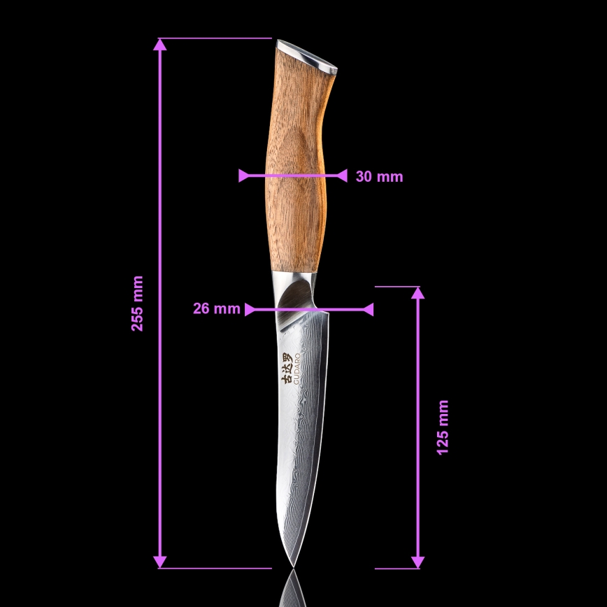 Gudaro - Set di 5 coltelli da cucina in damasco TAKUMI + supporto magnetico