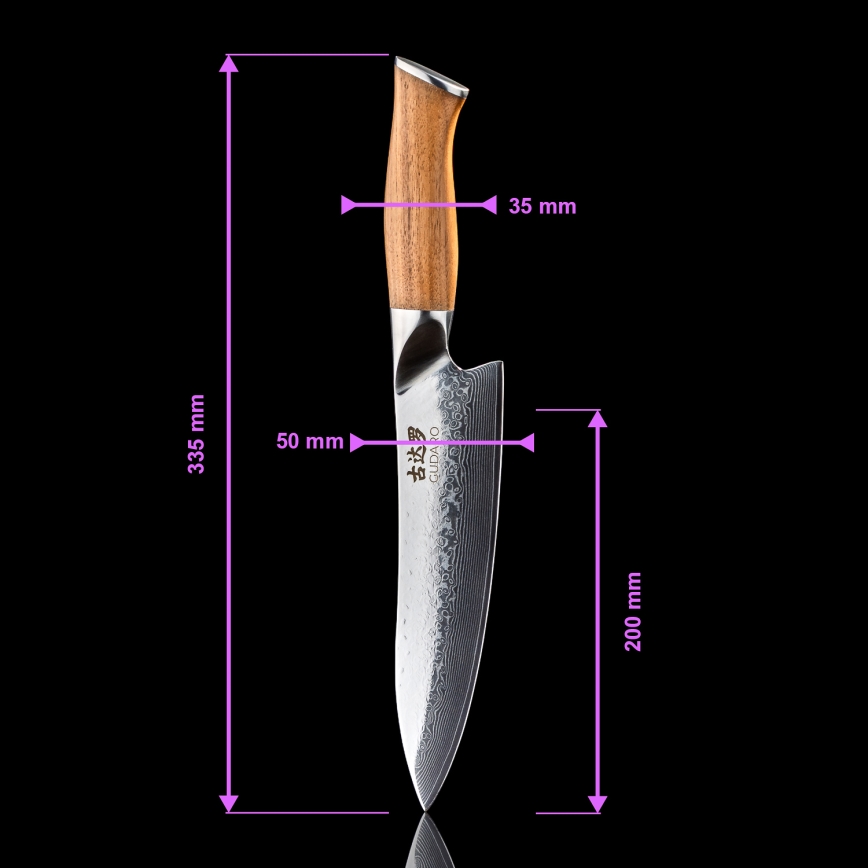 Gudaro - Set di 5 coltelli da cucina in damasco TAKUMI + supporto magnetico