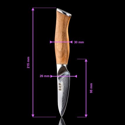 Gudaro - Set di 5 coltelli da cucina in damasco TAKUMI + supporto magnetico