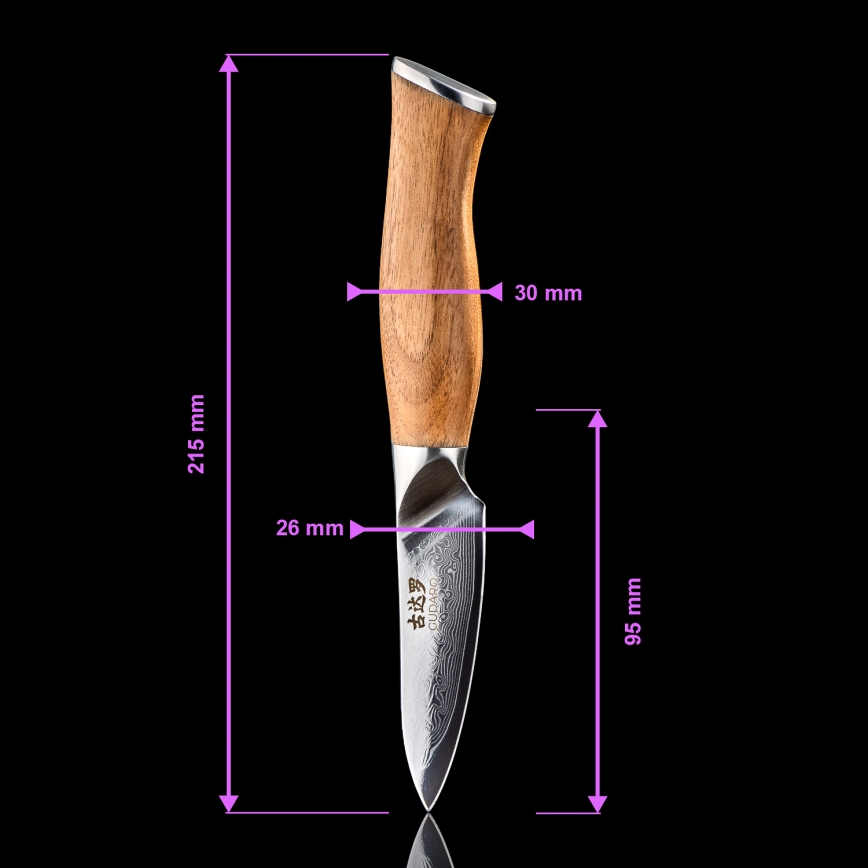 Gudaro - Set di 5 coltelli da cucina in damasco TAKUMI + supporto magnetico