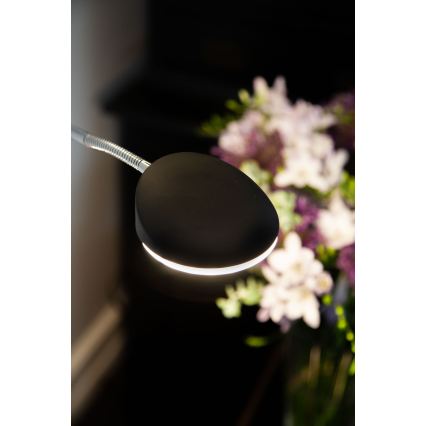 Halo Design 716067 - Lampada da terra LED dimmerabile VEGAS LED/20W/230V + LED/5W nero/cromo lucido