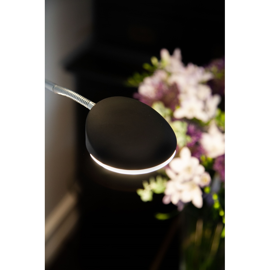 Halo Design 716067 - Lampada da terra LED dimmerabile VEGAS LED/20W/230V + LED/5W nero/cromo lucido