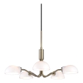 Halo Design 740376 - Lampadario a sospensione con cavo KJOBENHAVN, 5x G9/28W/230V, Ø 50 cm, ottone