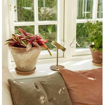 Halo Design 745784 - Lampada da tavolo ricaricabile dimmerabile LED ON THE MOVE LED/2,5W/4000 mAh ottone/legno