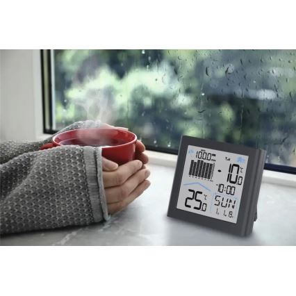 Hama - Stazione meteo con pluviometro e display LCD 2xAAA antracite