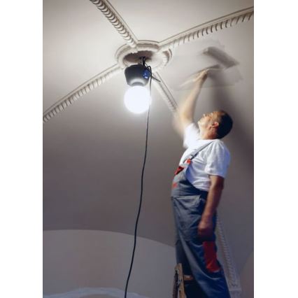 Helios 306-WLG223Z - Lampada tecnica LED per esterni WORK GLOBE 2 LED/23W/230V IP44