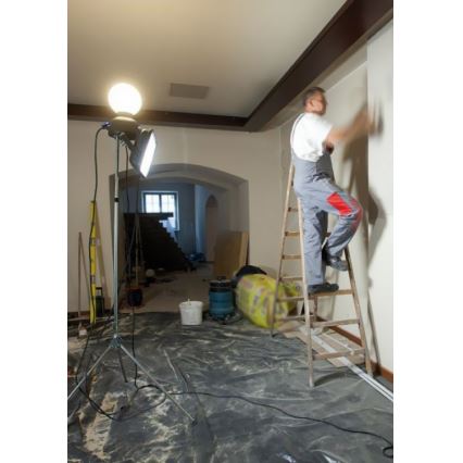 Helios 306-WLG223Z - Lampada tecnica LED per esterni WORK GLOBE 2 LED/23W/230V IP44