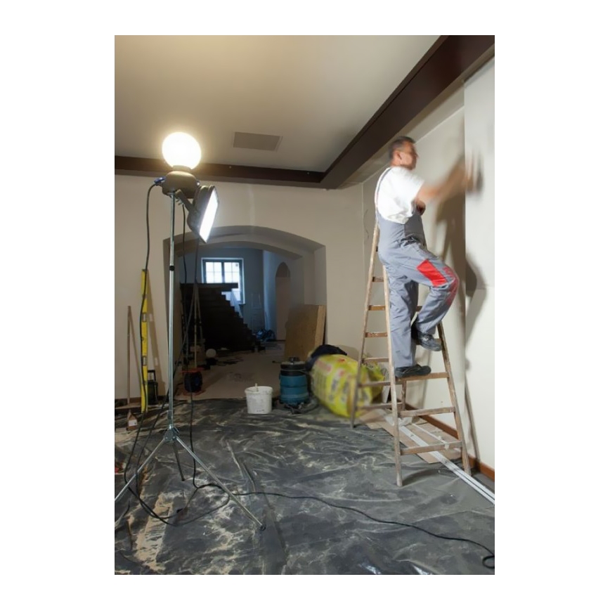 Helios 306-WLG223Z - Lampada tecnica LED per esterni WORK GLOBE 2 LED/23W/230V IP44