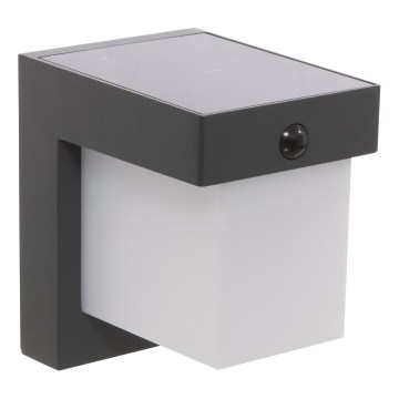 Hesperide - Lampada da parete solare a LED con sensore di movimento e sensore crepuscolare MULTY LED/3,7V 2600 mAh IP65 antracite