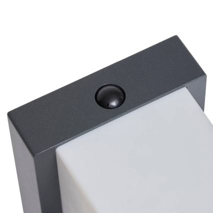 Hesperide - Lampada da parete solare a LED con sensore di movimento MULTY LED/3,7V 2600 mAh IP65 antracite