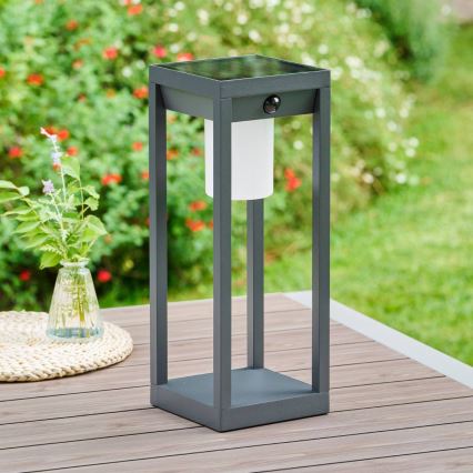 Hesperide - lanterna solare a LED con sensore di movimento e sensore crepuscolare PIKY LED/3,7V 2600 mAh 40 cm IP65 antracite