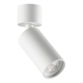 Ideal Lux - Faretto LED DYNAMITE 1xGU10/7W/230V CRI 90 bianco