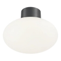 Ideal Lux - Lampada da soffitto da esterno CLIO 1xE27/42W/230V IP44 antracite