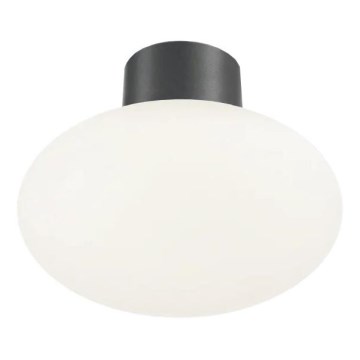Ideal Lux - Lampada da soffitto da esterno CLIO 1xE27/42W/230V IP44 antracite