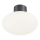 Ideal Lux - Lampada da soffitto da esterno CLIO 1xE27/42W/230V IP44 antracite