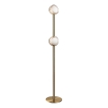 Ideal Lux - Lampada da terra LED BLOOM 2xLED/5,5W/230V CRI 90 oro/beige fumé