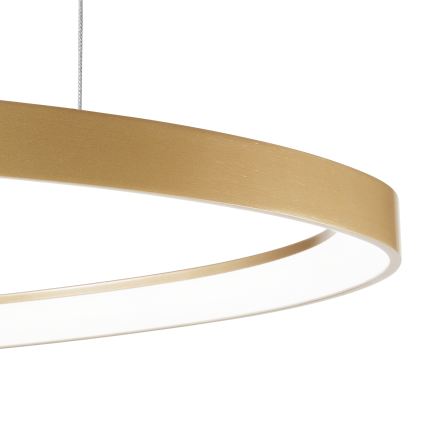 Ideal Lux - Lampadario a sospensione con filo LED dimmerabile GEMINI LED/48W/230V diametro 61 cm CRI 90 oro