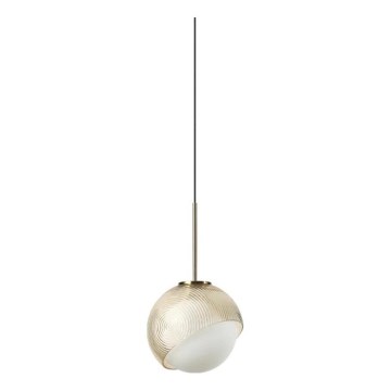 Ideal Lux - Lampadario LED a cavo BLOOM 1xG9/3W/230V Ø 11,5 cm oro/beige fumé