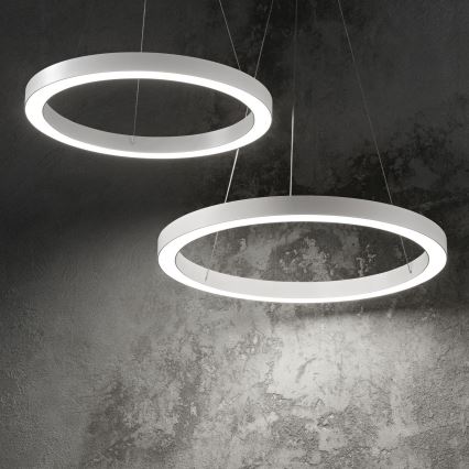 Ideal Lux - Lampadario LED a sospensione con filo ORACLE LED/35W/230V 3000K diametro 70 cm CRI 90 bianco