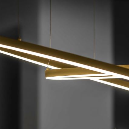 Ideal Lux - Lampadario LED a cavo ORACLE SLIM LED/37W/230V 3000K CRI 90 diam. 70 cm dorato