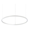 Ideal Lux - Lampadario LED sospeso con cavo ORACLE SLIM LED/37W/230V 4000K CRI 90 Ø 70 cm bianco