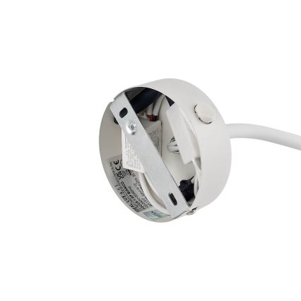 Ideal Lux - LED Flessibile piccola lampada FOCUS LED/4W/230V CRI 90 bianco