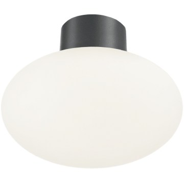 Ideal Lux - Plafoniera da esterni CLIO 1xE27/42W/230V Ø 28 cm IP44 antracite
