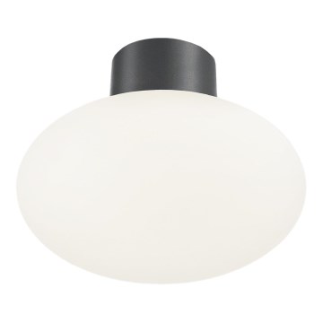 Ideal Lux - Plafoniera da esterno CLIO 1xE27/42W/230V IP44 antracite