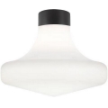 Ideal Lux - Plafoniera da esterno CLIO 1xE27/42W/230V IP44 nera