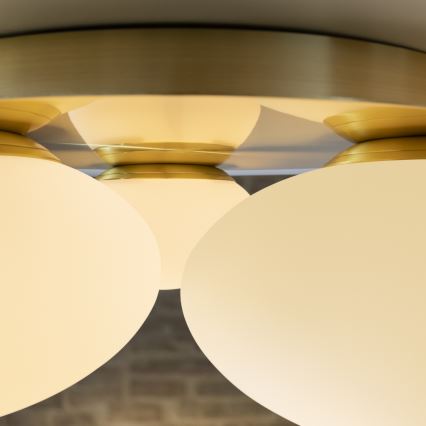 Ideal Lux - Plafoniera LED NINFEA 3xLED/9W/230V oro