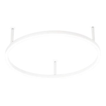 Ideal Lux - Plafoniera LED ORACLE SLIM LED/29W/230V 4000K CRI 90 Ø 50 cm bianco