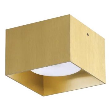 Ideal Lux - Plafoniera LED SPIKE 1xGX53/9W/230V oro