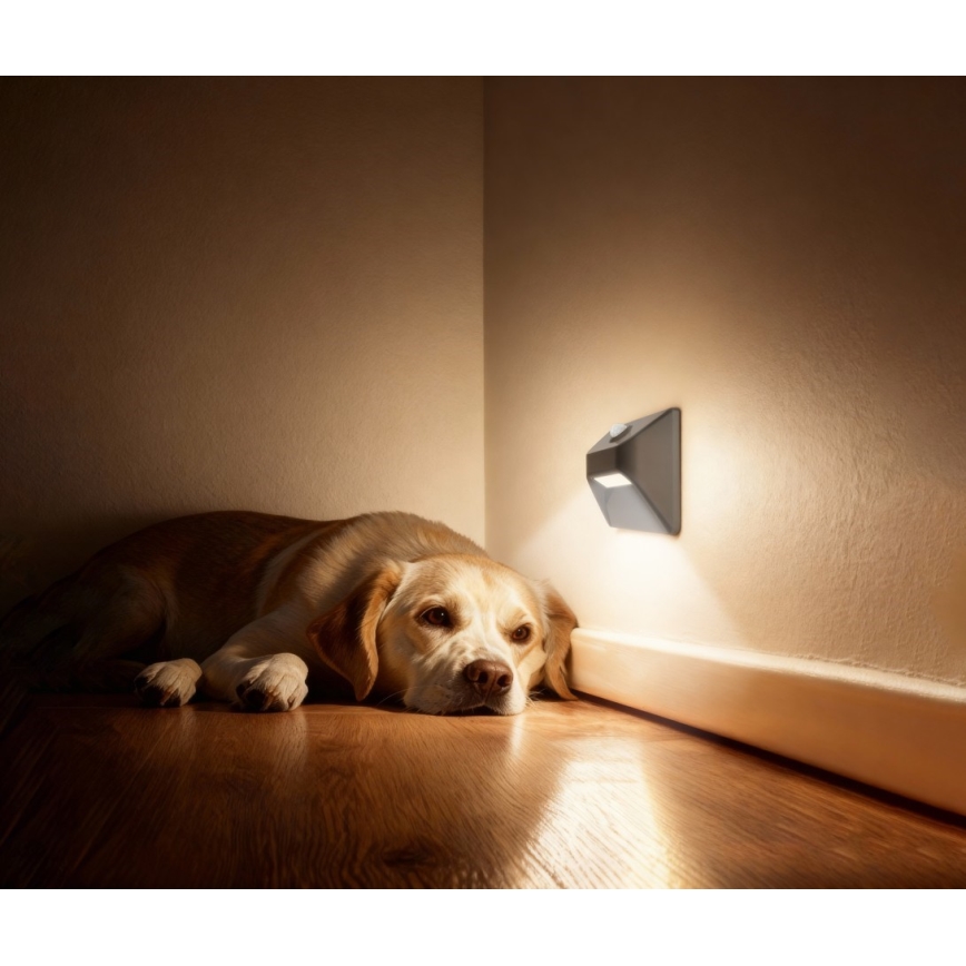 Immax 08309L - Lampada ricaricabile per scale LED con sensore di movimento e sensore crepuscolare STEP LIGHT LED/0,3W/3,7V 2200 mAh IP53 grigia