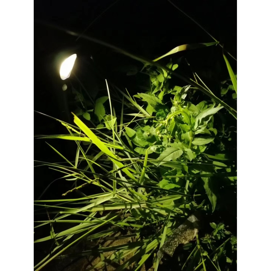 Lampada solare LED con sensore LED/1W/3,7V 6000K IP65 1500 mAh