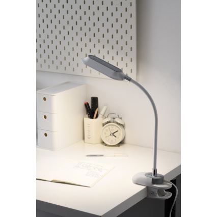 LED+CCT Lampada da tavolo dimmerabile con clip CLIP LED/7,5W/230V 3000/4200/5000K bianca