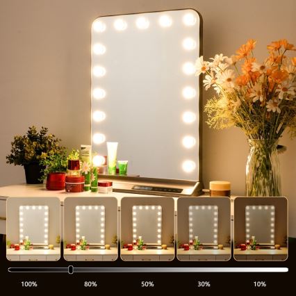 Specchio da trucco dimmerabile HOLLYWOOD LED/18W/230V 3000/4200/6000K grigio