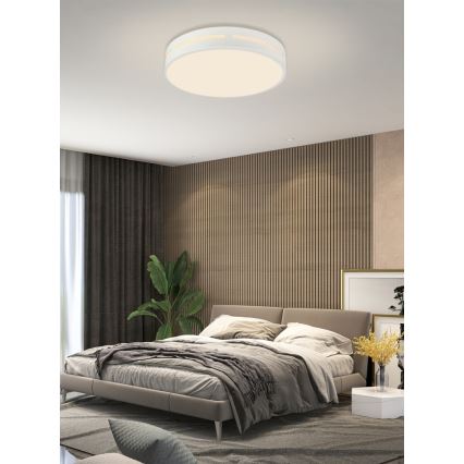 Immax NEO 07153-W30 - Plafoniera LED dimmerabile NEO LITE PERFECTO LED/24W/230V Wi-Fi Tuya bianco + telecomando