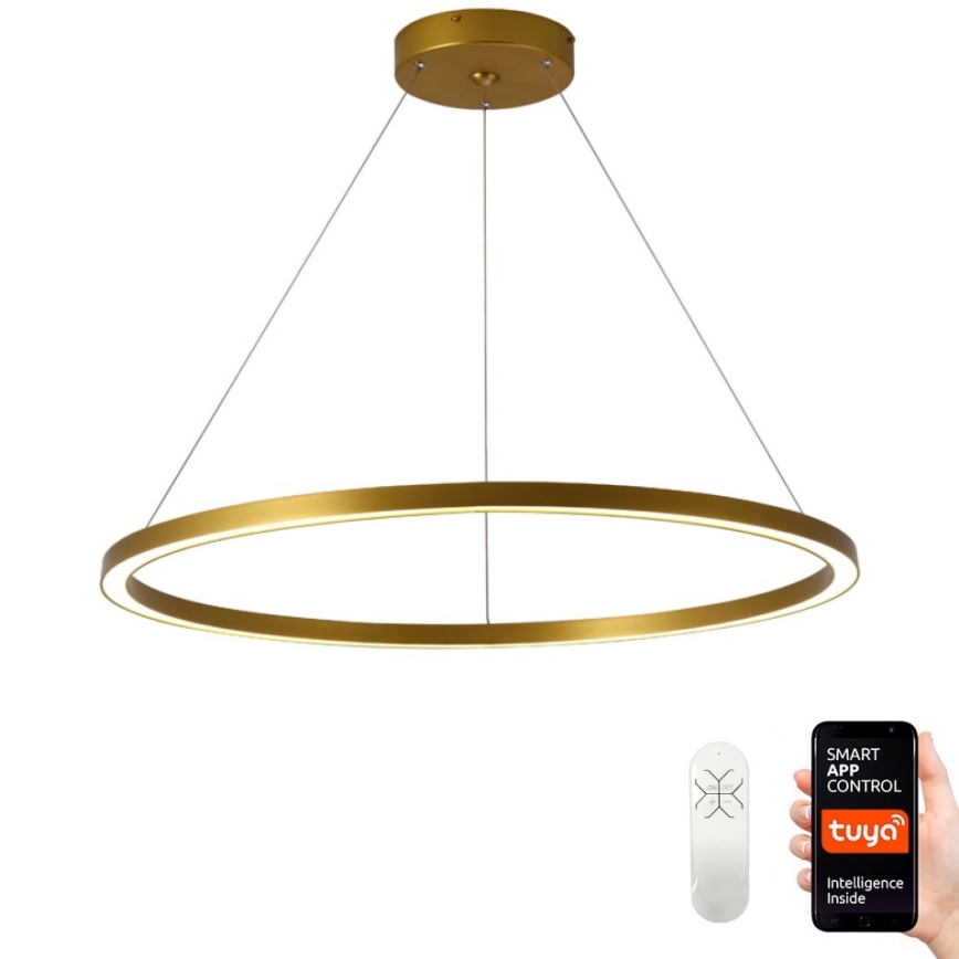 Immax NEO 07159-G80 - Lampadario LED Dimmerabile su filo FINO LED/60W/230V Tuya oro + telecomando