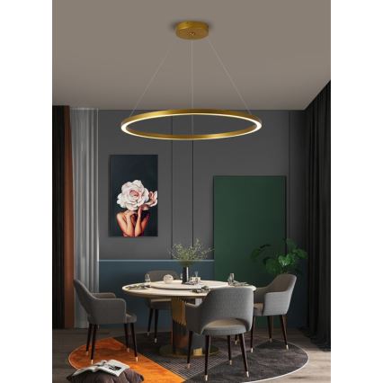 Immax NEO 07159-G80 - Lampadario LED Dimmerabile su filo FINO LED/60W/230V Tuya oro + telecomando