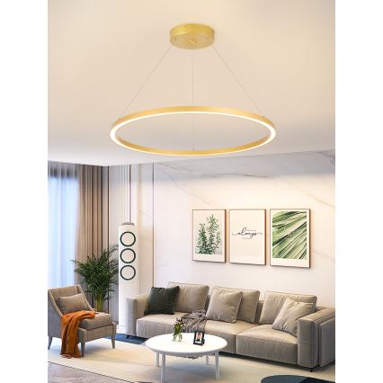 Immax NEO 07159-G80 - Lampadario LED Dimmerabile su filo FINO LED/60W/230V Tuya oro + telecomando