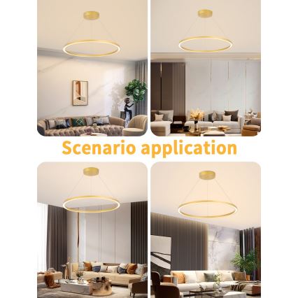 Immax NEO 07159-G80 - Lampadario LED Dimmerabile su filo FINO LED/60W/230V Tuya oro + telecomando