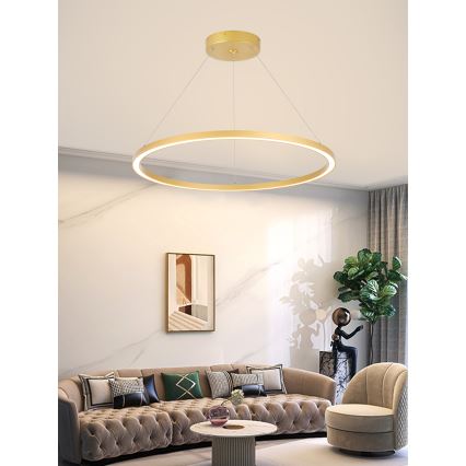 Immax NEO 07159-G80 - Lampadario LED Dimmerabile su filo FINO LED/60W/230V Tuya oro + telecomando