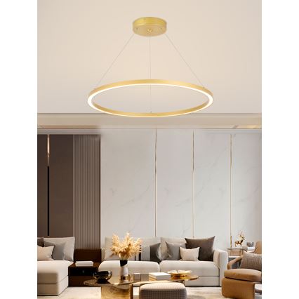 Immax NEO 07159-G80 - Lampadario LED Dimmerabile su filo FINO LED/60W/230V Tuya oro + telecomando