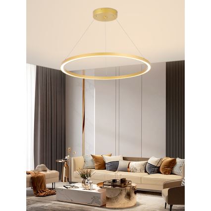 Immax NEO 07159-G80 - Lampadario LED Dimmerabile su filo FINO LED/60W/230V Tuya oro + telecomando