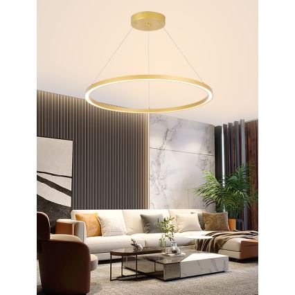 Immax NEO 07159-G80 - Lampadario LED Dimmerabile su filo FINO LED/60W/230V Tuya oro + telecomando