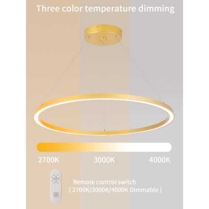 Immax NEO 07159-G80 - Lampadario LED Dimmerabile su filo FINO LED/60W/230V Tuya oro + telecomando