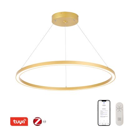 Immax NEO 07159-G80 - Lampadario LED Dimmerabile su filo FINO LED/60W/230V Tuya oro + telecomando