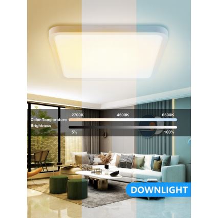 Immax NEO 07168-W40 - LED RGB+CCT Plafoniera con dimmer NEO LITE TUDO LED/50W/230V Wi-Fi Tuya bianco + telecomando