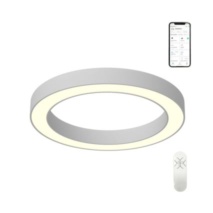 Immax NEO 07212L - Luce LED dimmerabile PASTEL LED/53W/230V bianco Tuya + telecomando